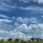 仕事で心掛けていること